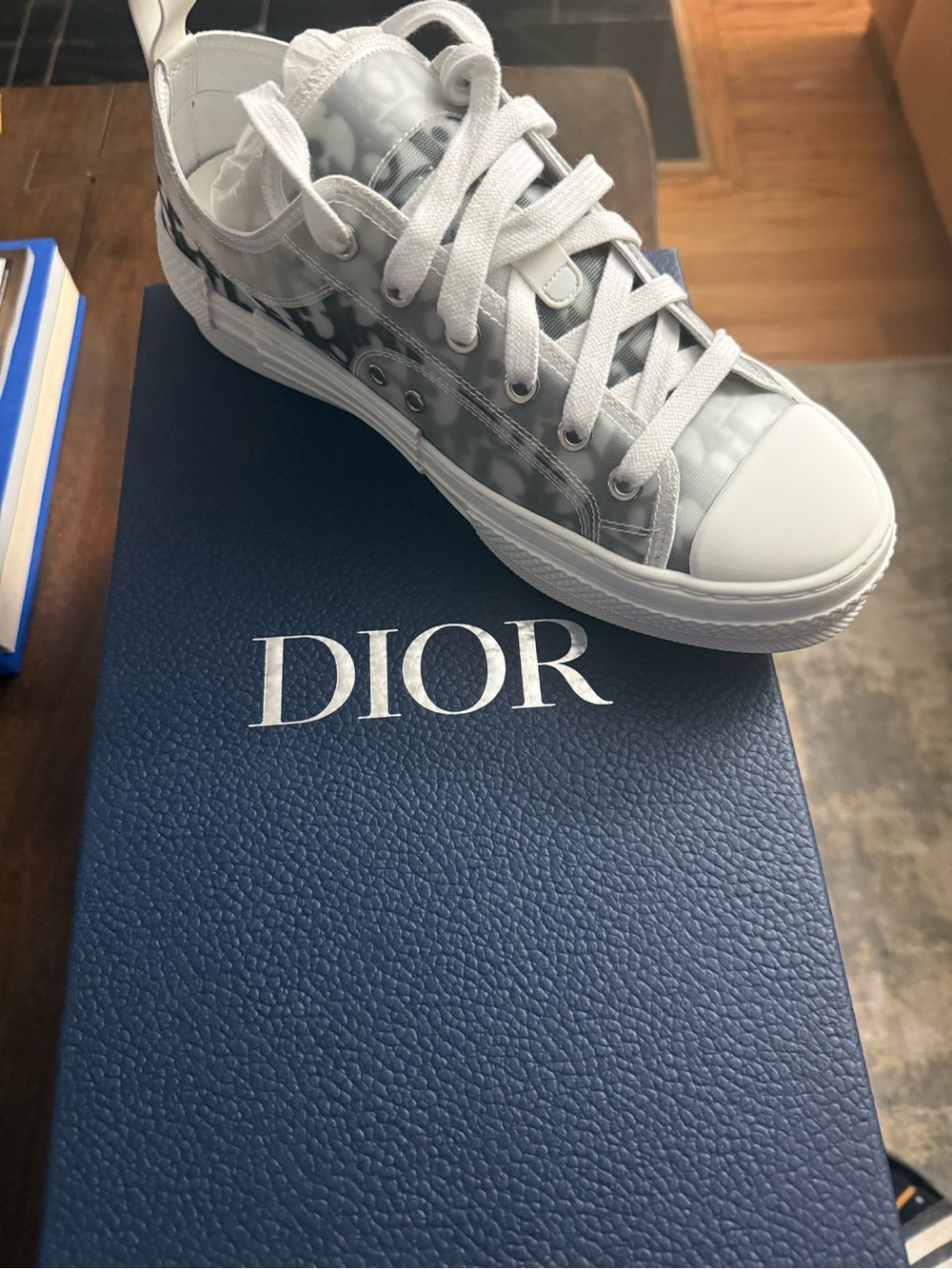 Dior White and Gray Logo-Print Low Top Sneaker